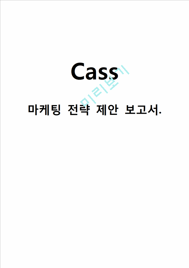 카스 CASS 브랜드분식및 SWOT,STP 분석과 카스 마케팅 4P 전략제안 (카스 마케팅전략제안 보고서)   (1 )
